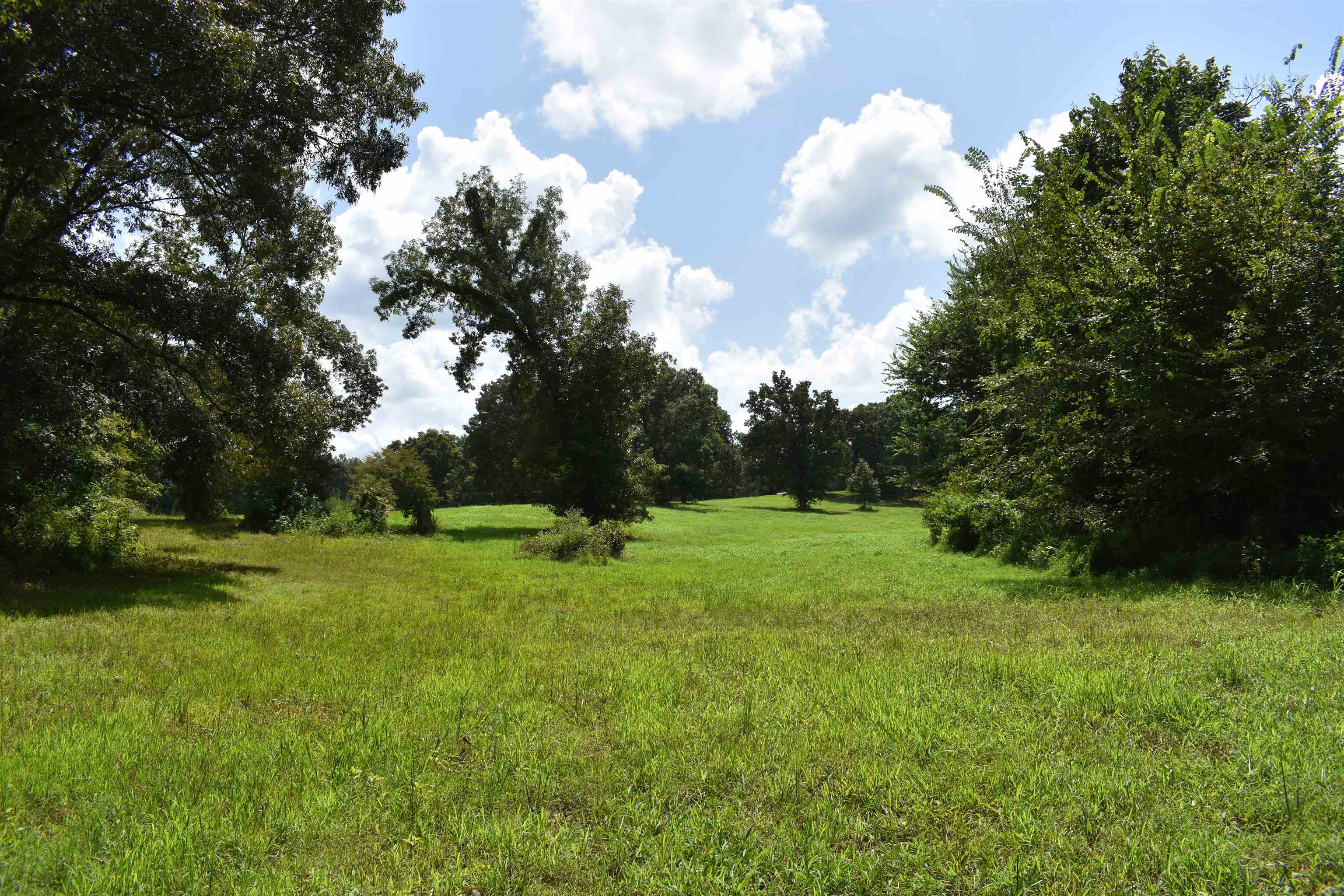 3895 Enville Road Henderson, TN 38340 - Photo 7 of 25 a view of field with trees in the background