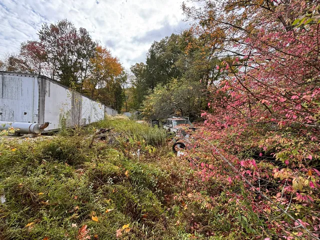 a view of a backyard