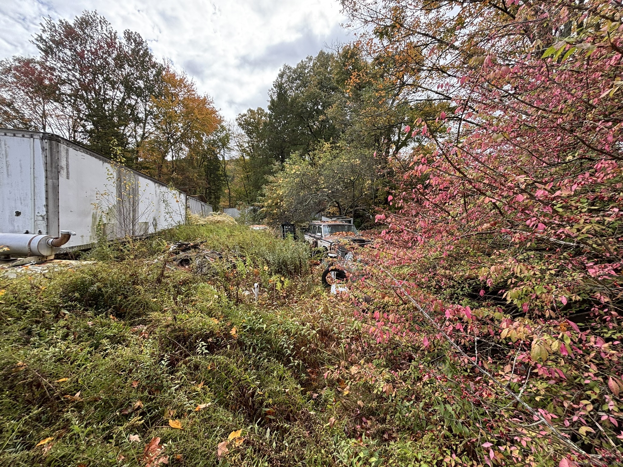1405 New Haven Road Naugatuck, CT 06770 - Photo 25 of 27 a backyard of a house with lots of green space