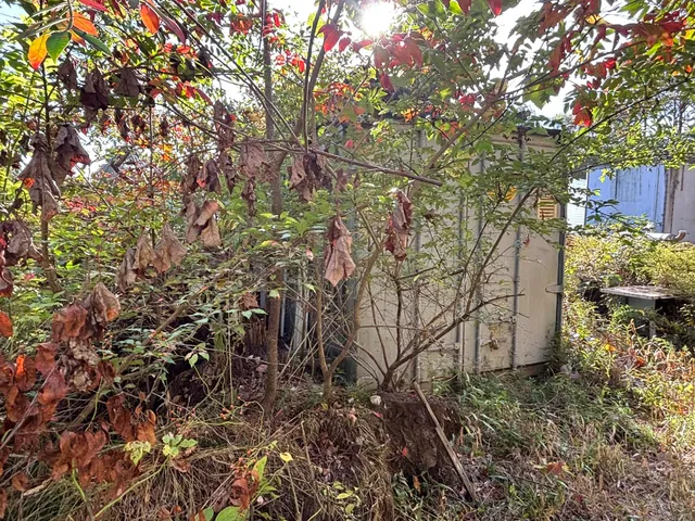 a backyard of a house with lots of green space