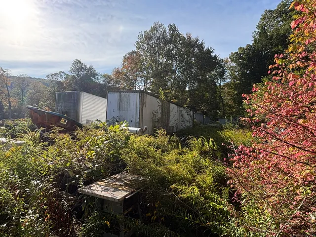 a backyard of a house with lots of green space