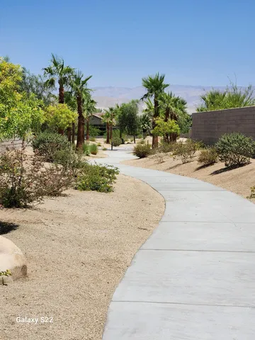 a view of a yard with plants
