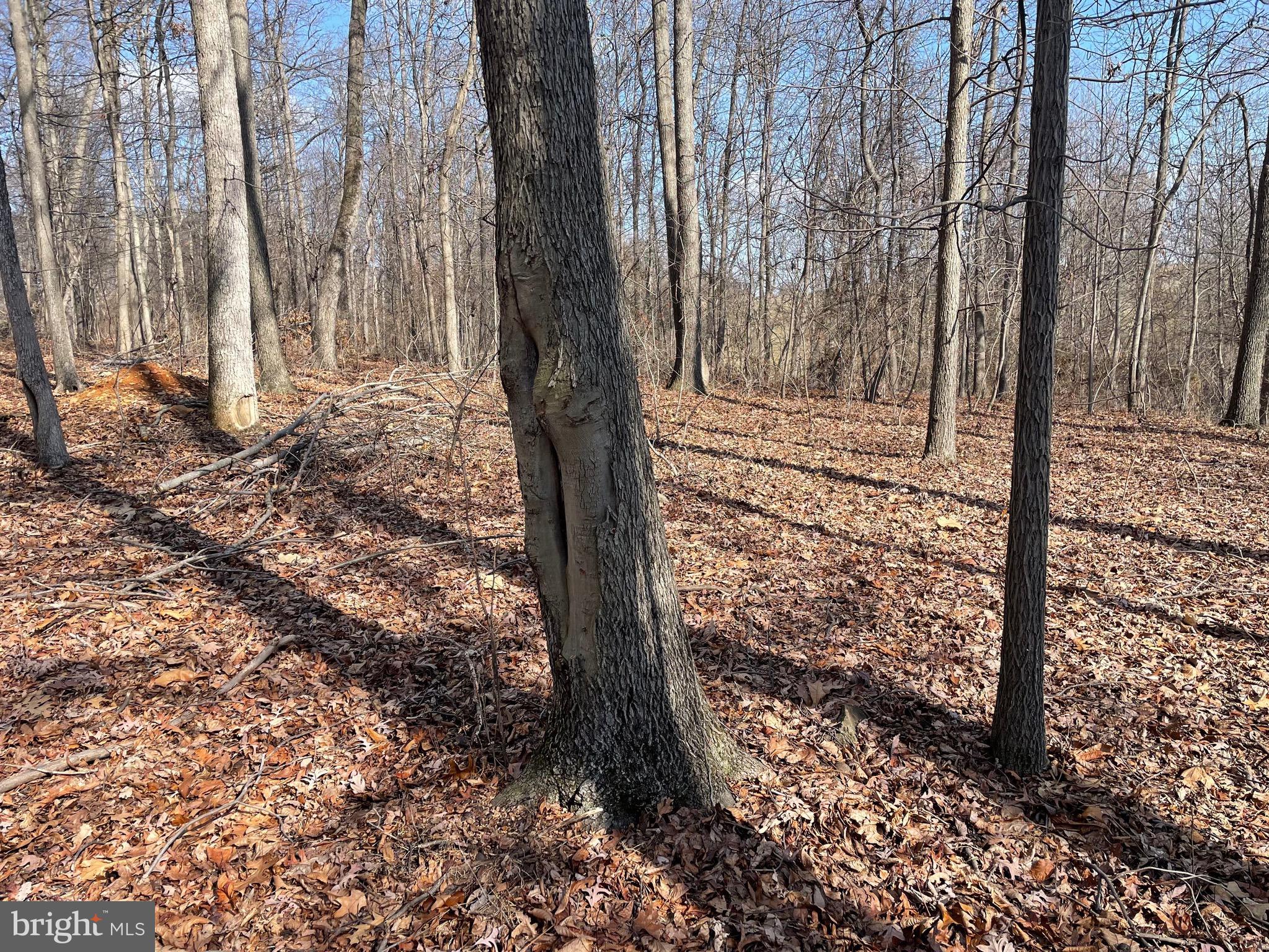 Parcel # 23 Parcel Road Brogue, PA 17309 - Photo 20 of 29