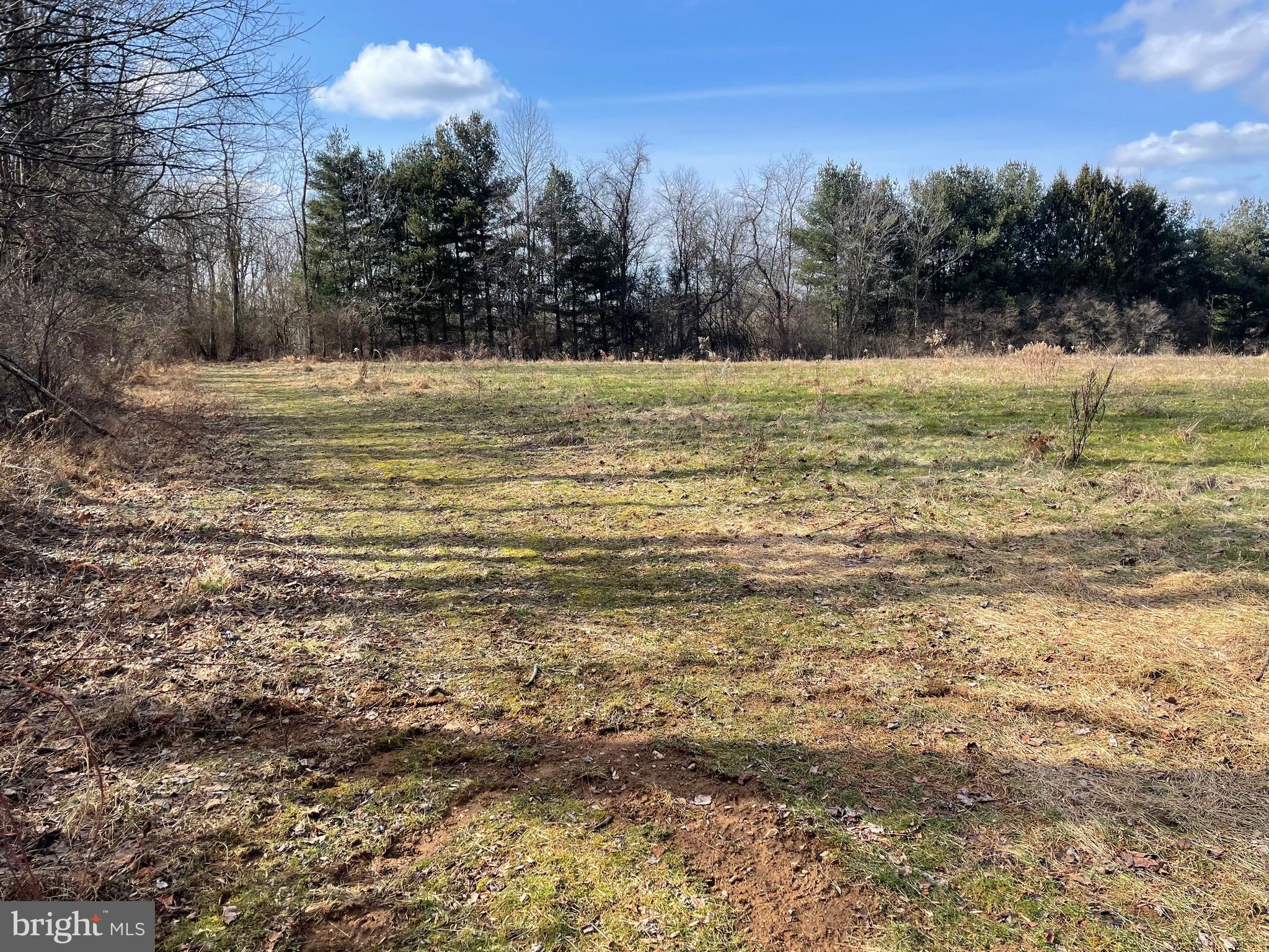 Parcel # 23 Parcel Road Brogue, PA 17309 - Photo 8 of 29