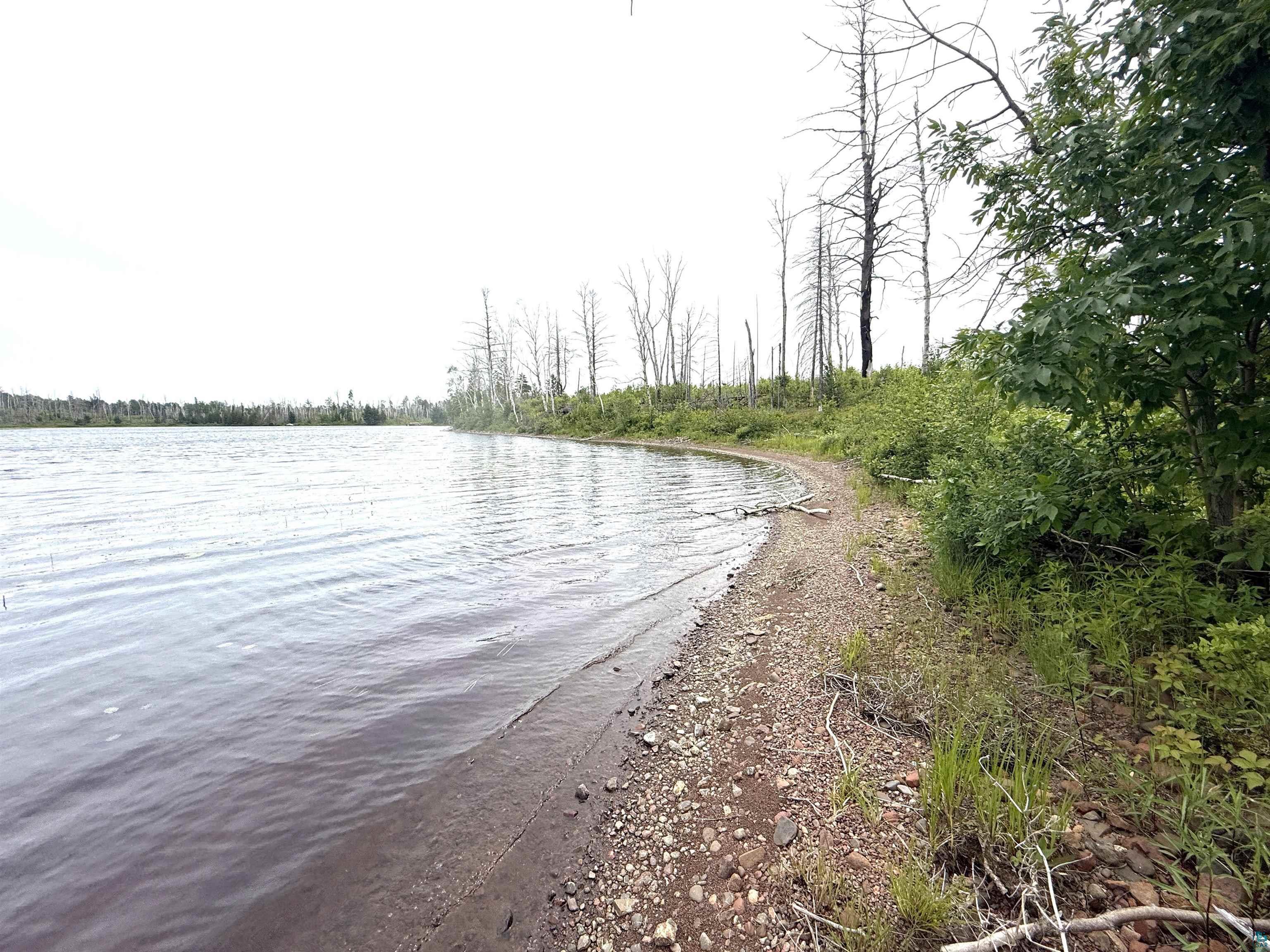 2377 North McDougal Lake Road Isabella, MN 55607 - Photo 10 of 11