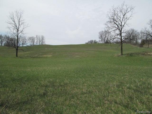 0 Bemis Road West Manchester, MI 48158 - Photo 2 of 8 pic 3.jpg