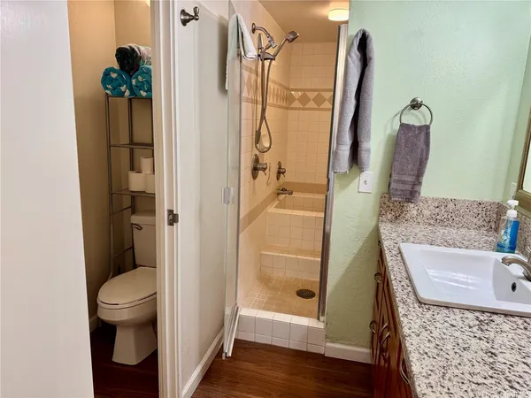 a bathroom with a granite countertop shower and a toilet