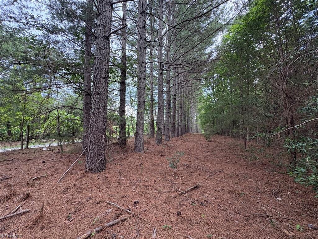 207 Cockerham Road Elkin, NC 28621 - Photo 39 of 42 Gallery Image 39