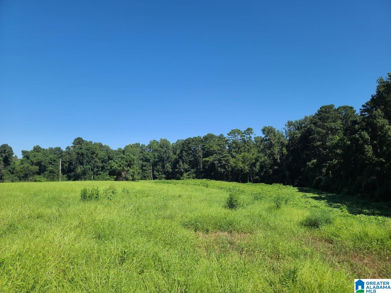 0 Corner School Road Empire, AL 35063 - Photo 2 of 18 Gallery Image 2