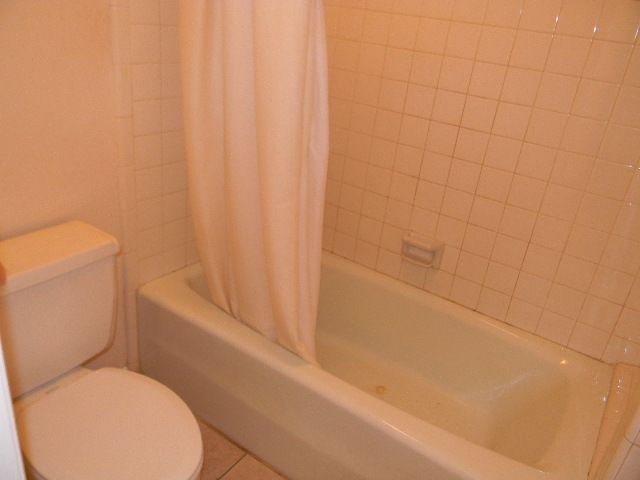 882 Kingsway Road, Unit 2 Tallahassee, FL 32301 - Photo 10 of 21 Gallery Image 10