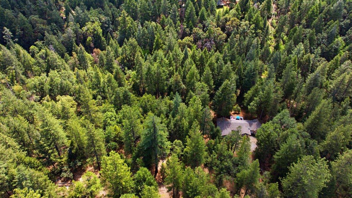 5200 Langner Creek Road Pollock Pines, CA 95726 - Photo 47 of 51