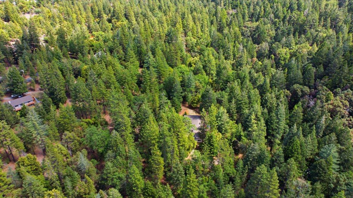 5200 Langner Creek Road Pollock Pines, CA 95726 - Photo 48 of 51