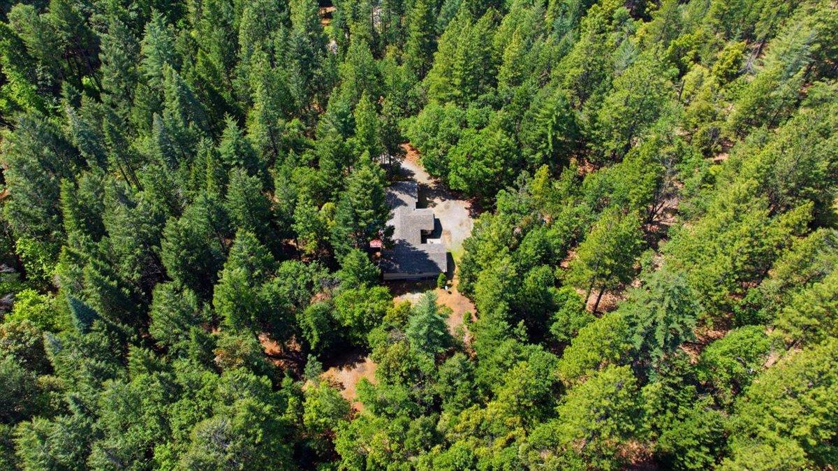 5200 Langner Creek Road Pollock Pines, CA 95726 - Photo 50 of 51