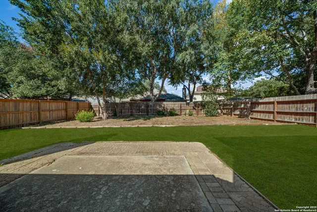 a view of park with large trees