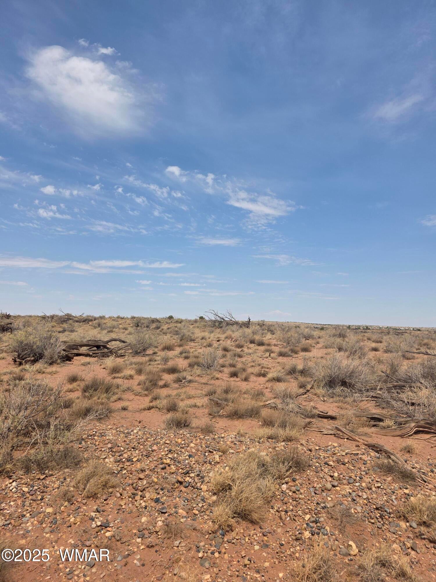 8317 Buckskin Trail Snowflake, AZ 85937 - Photo 7 of 9 Judy Pix 6