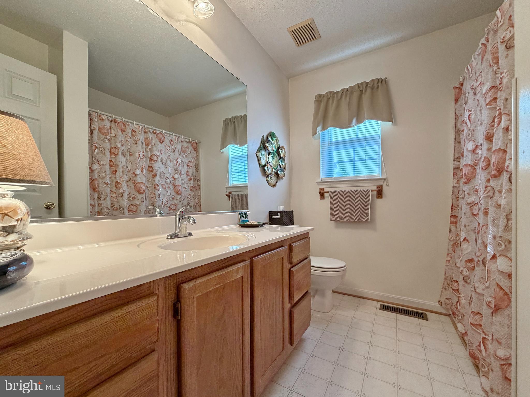 17466 Audrey Road Cobb Island, MD 20625 - Photo 41 of 59 a bathroom with a sink and a mirror