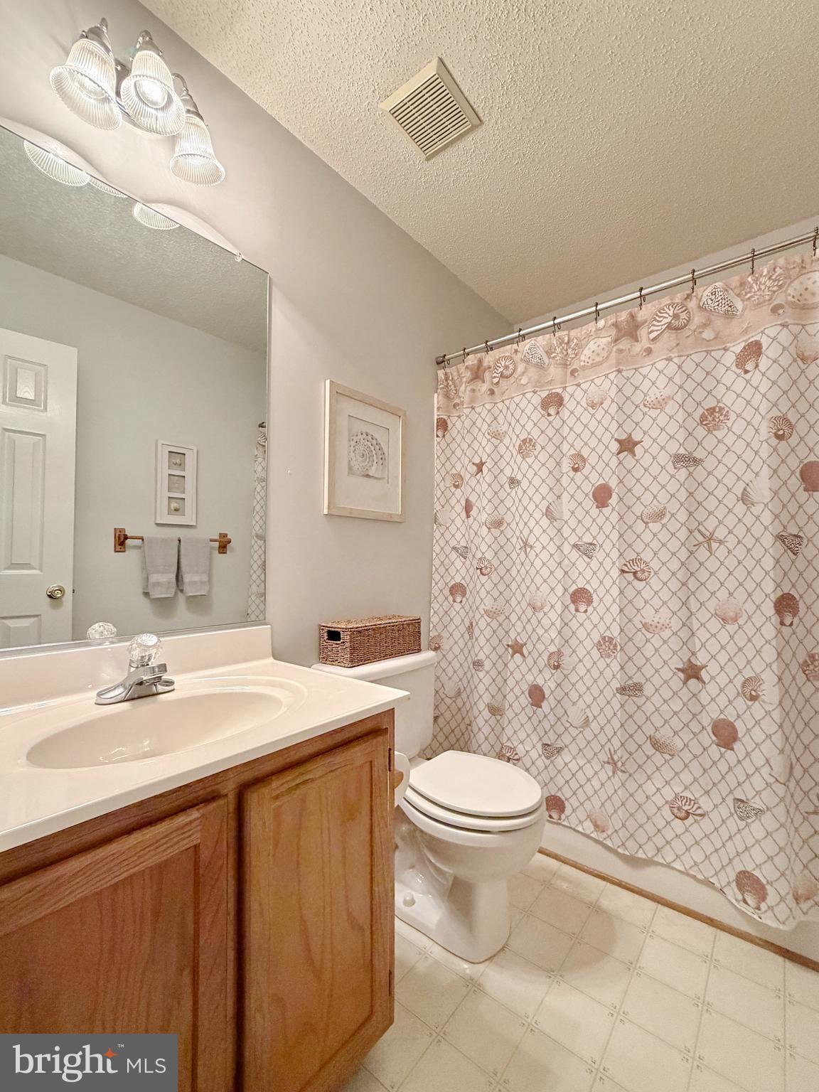 17466 Audrey Road Cobb Island, MD 20625 - Photo 44 of 59 a bathroom with a sink a toilet and a mirror