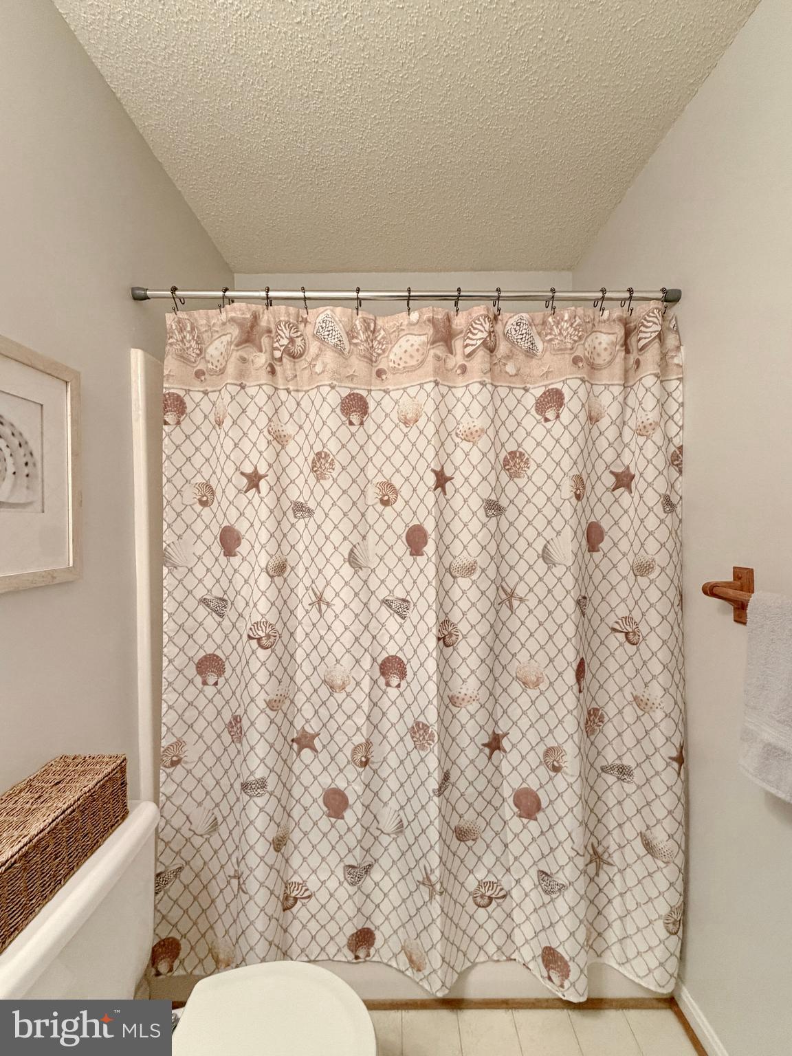 17466 Audrey Road Cobb Island, MD 20625 - Photo 46 of 59 a bathroom with a shower curtain