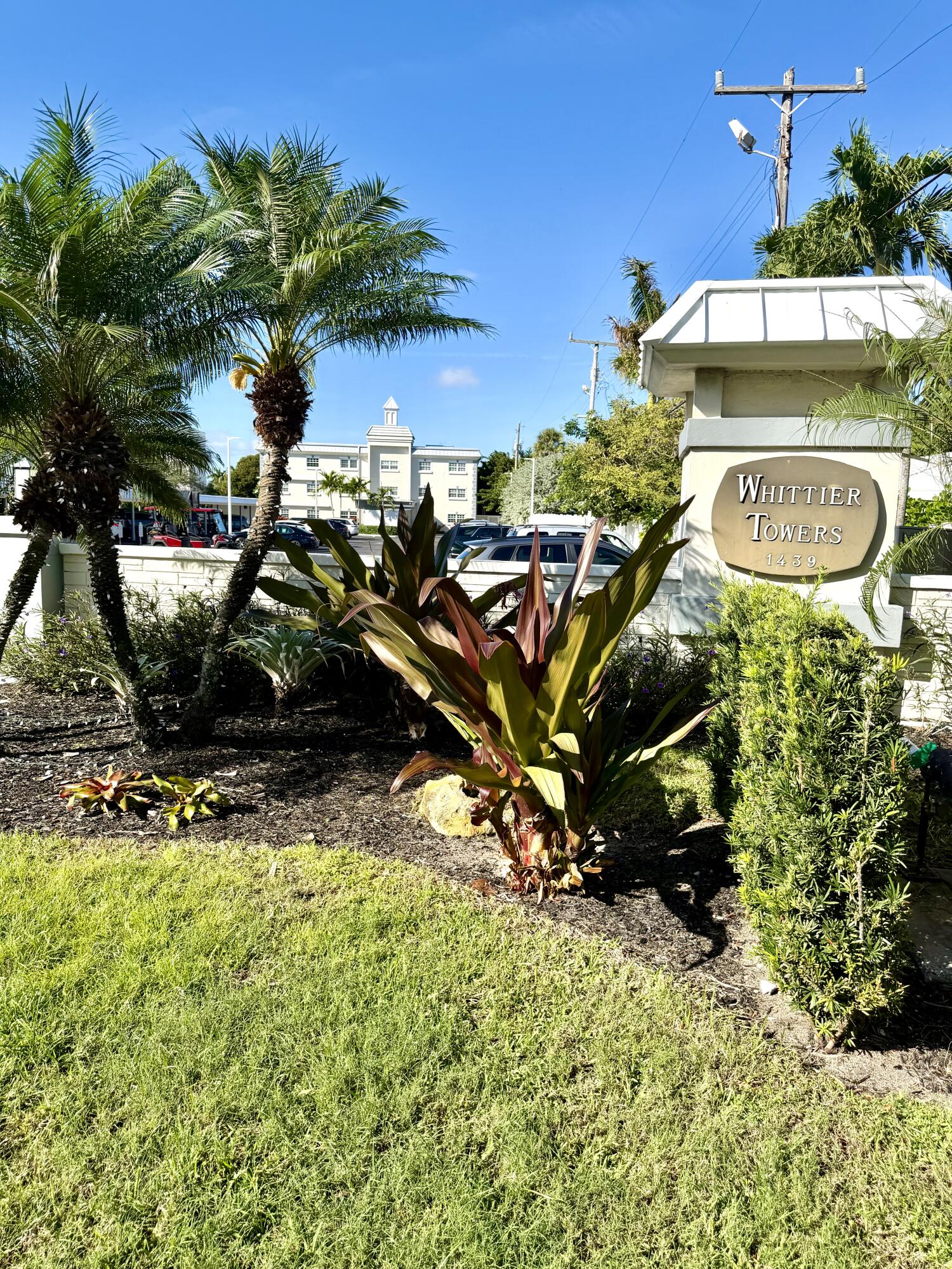 1439 South Ocean Boulevard, Unit 303 Lauderdale-by-the-Sea, FL 33062 - Photo 2 of 31 a picture of plants