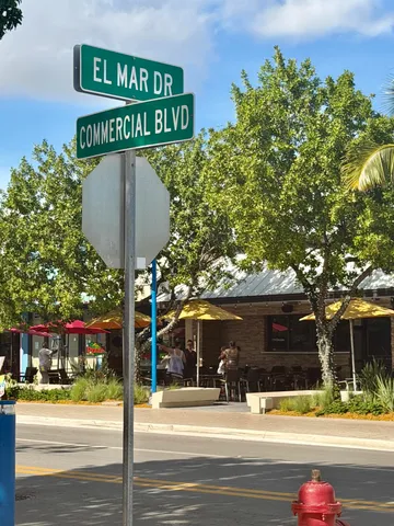 a view of a swimming pool with a lawn chairs under palm trees
