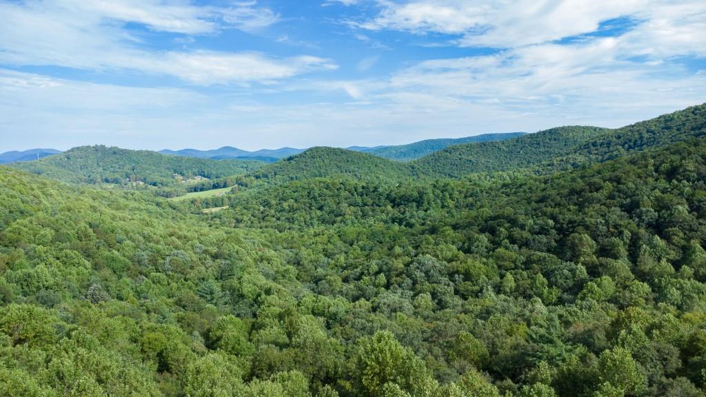 3 Glenn Elliot Road Dahlonega, GA 30533 - Photo 6 of 11