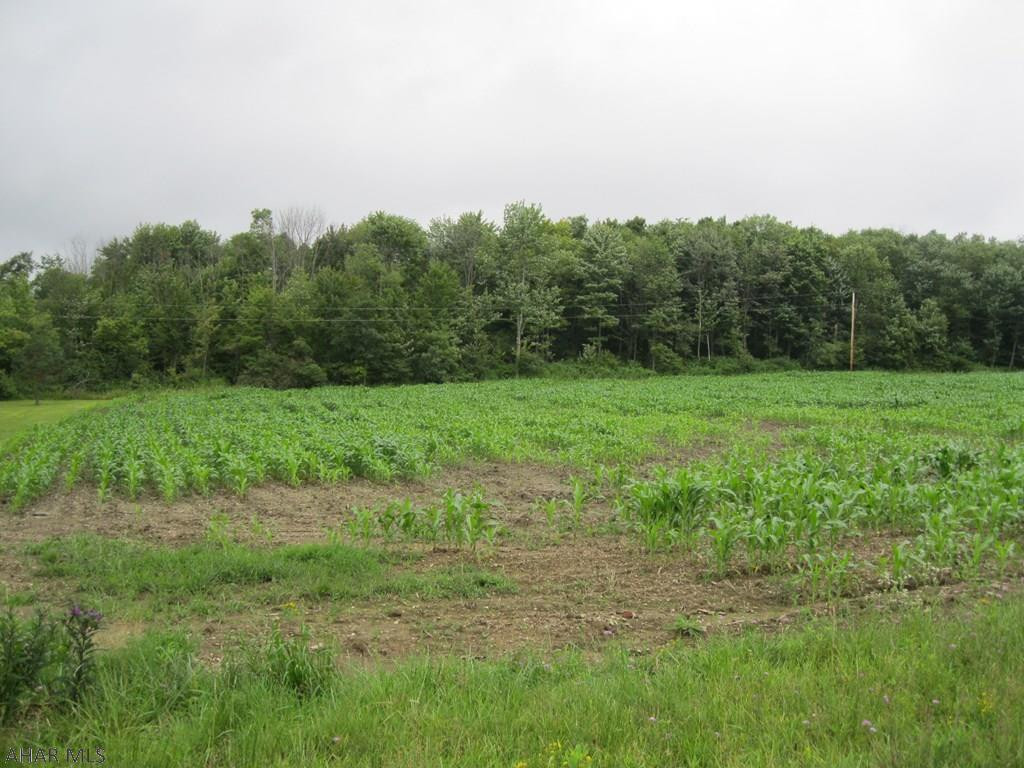 Mill Rd Mill Road Duncansville, PA 16635 - Photo 4 of 5 Gallery Image 4