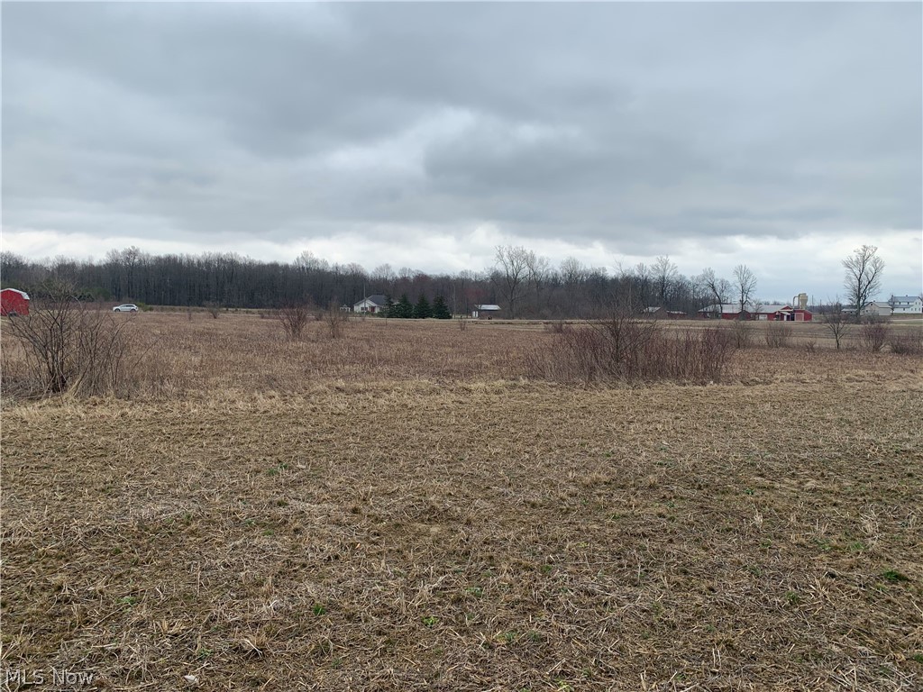 175 Co Road West Salem, OH 44287 - Photo 10 of 14 Gallery Image 10