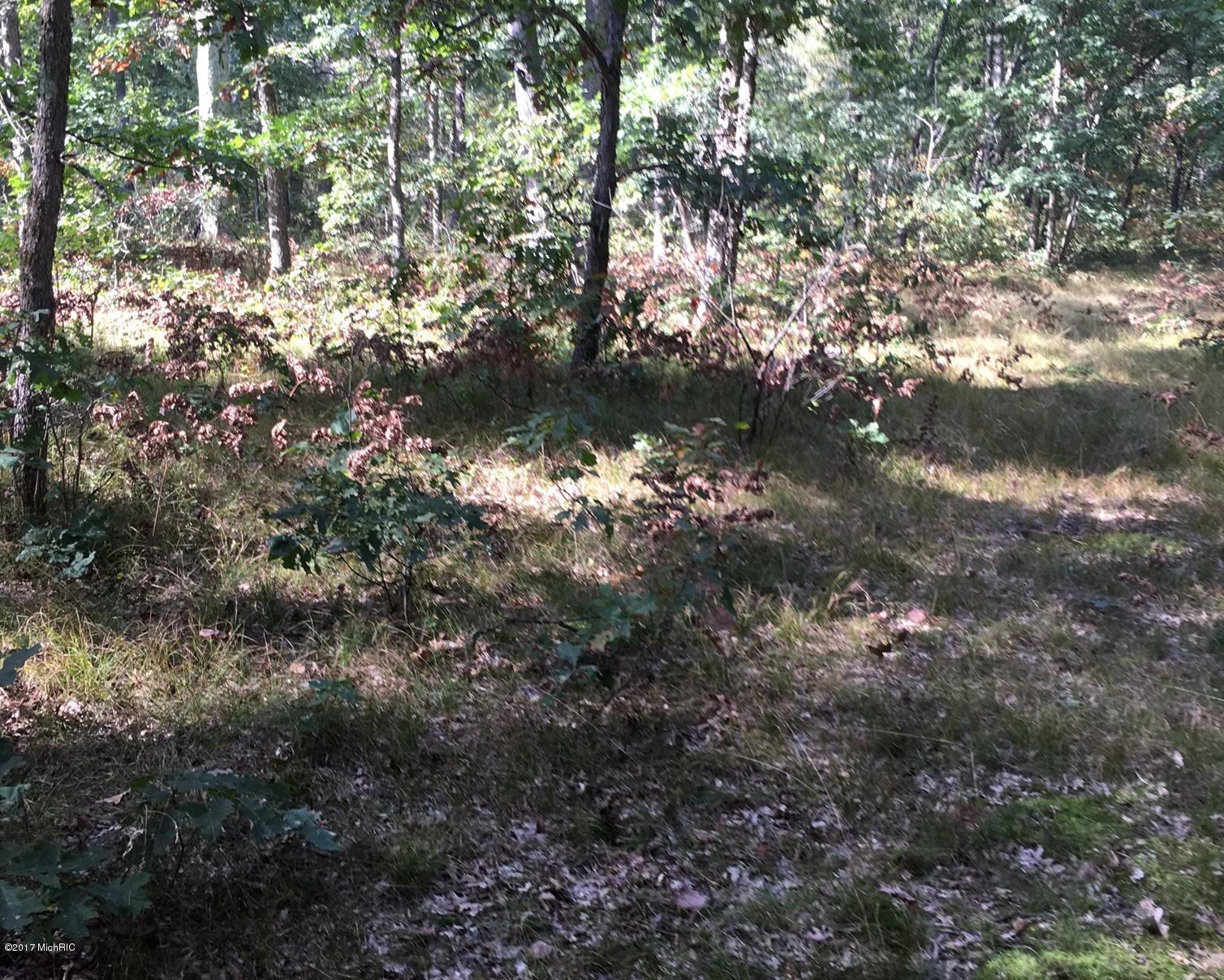 11 1/2 West 11 1/2 Mile Road Irons, MI 49644 - Photo 2 of 4 Trail in to clearing