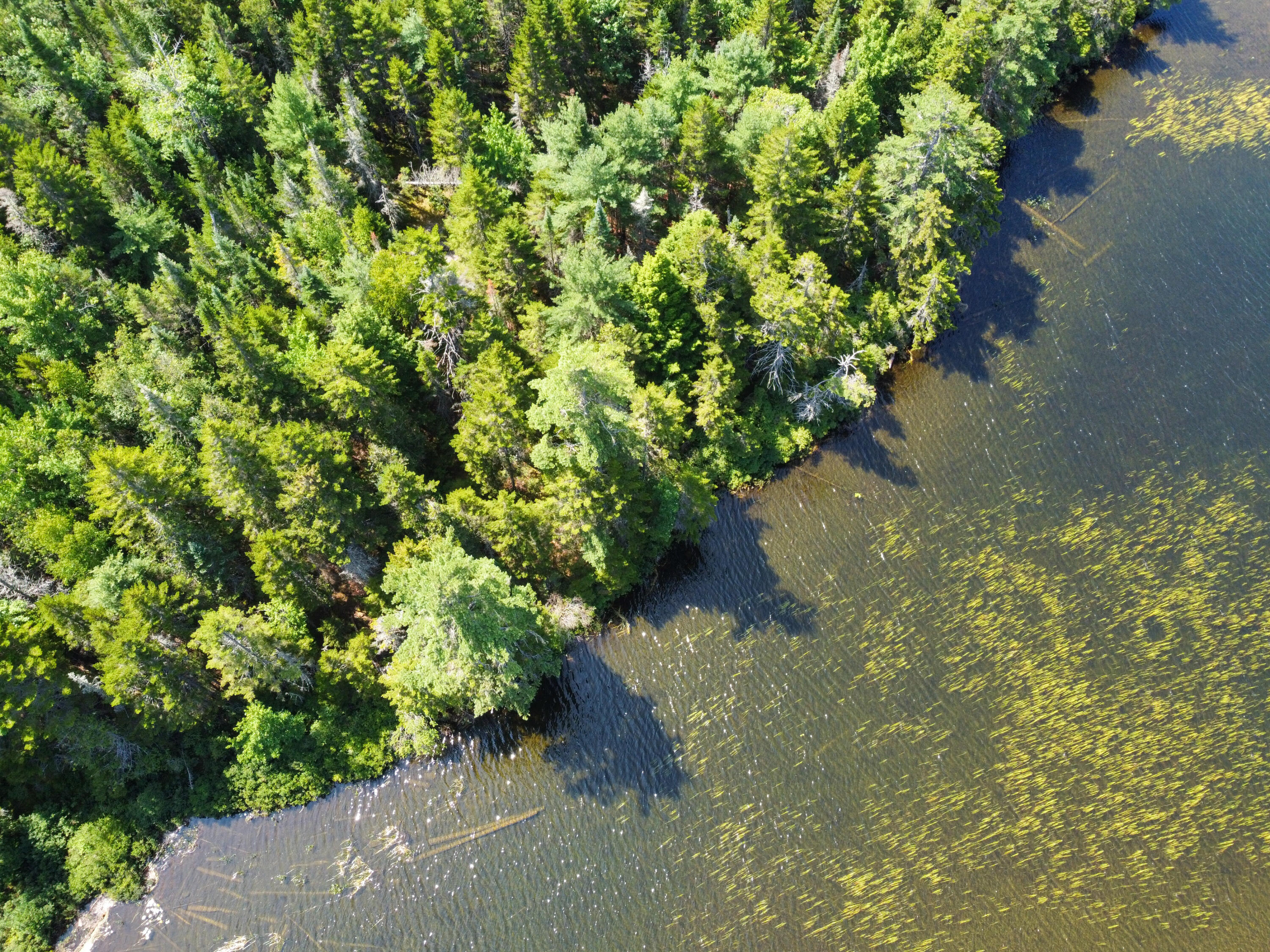 Lot 6 Goulding Lk Road Robbinston, ME 04671 - Photo 5 of 30 DJI_0852