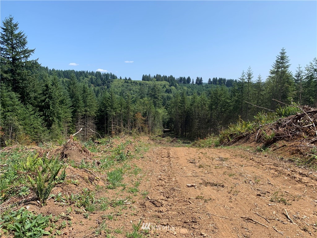 1 Delameter Road Castle Rock, WA 98611 - Photo 2 of 9 Gallery Image 2