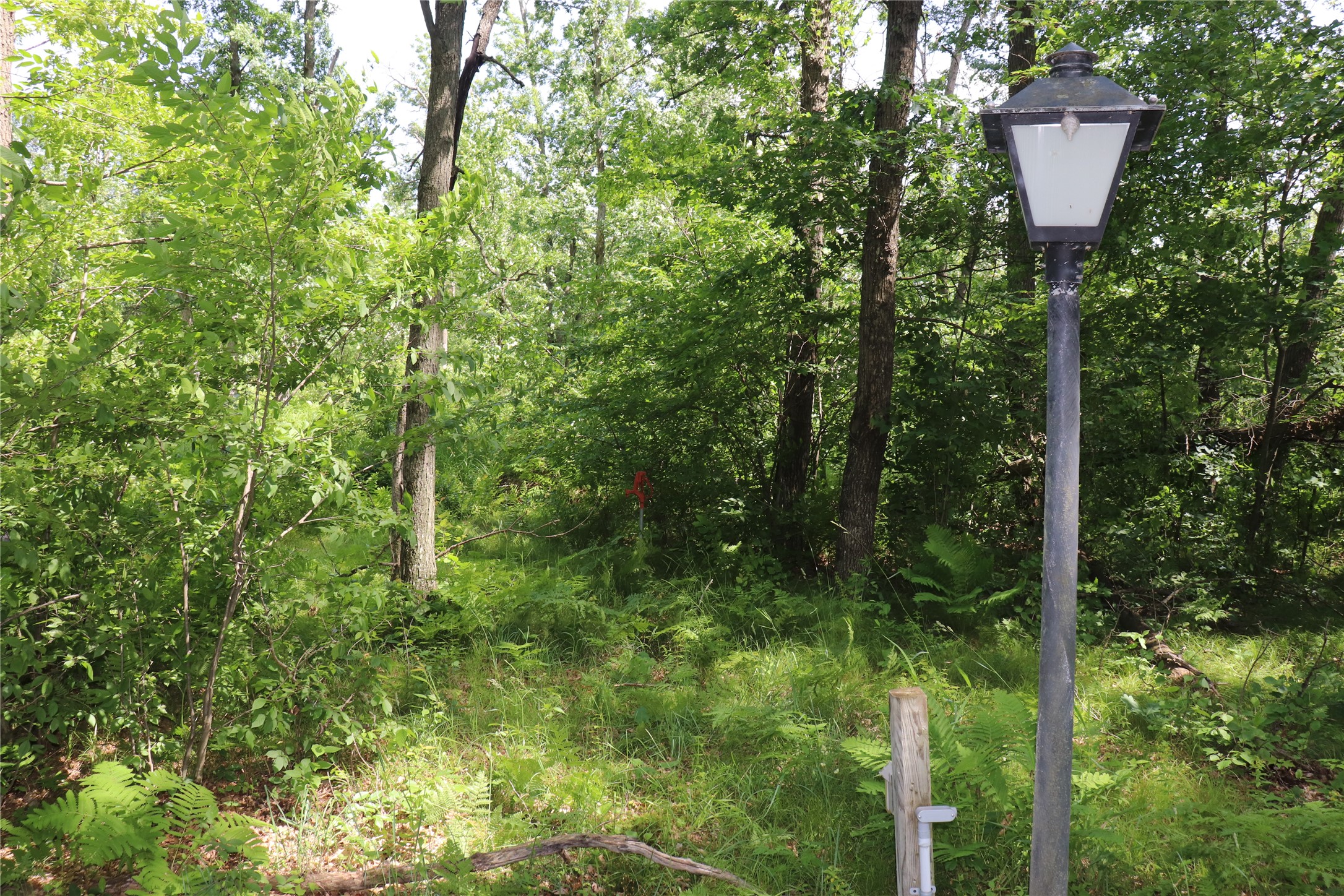 S11305 Kempton Road Augusta, WI 54722 - Photo 20 of 57