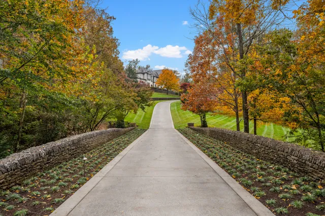 a view of a white house with a yard and plants