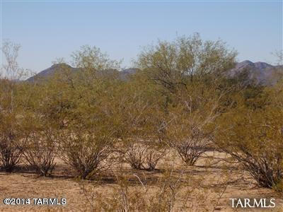 16325 West Scrub Brush Road, Unit 166 Marana, AZ 85653 - Photo 3 of 5