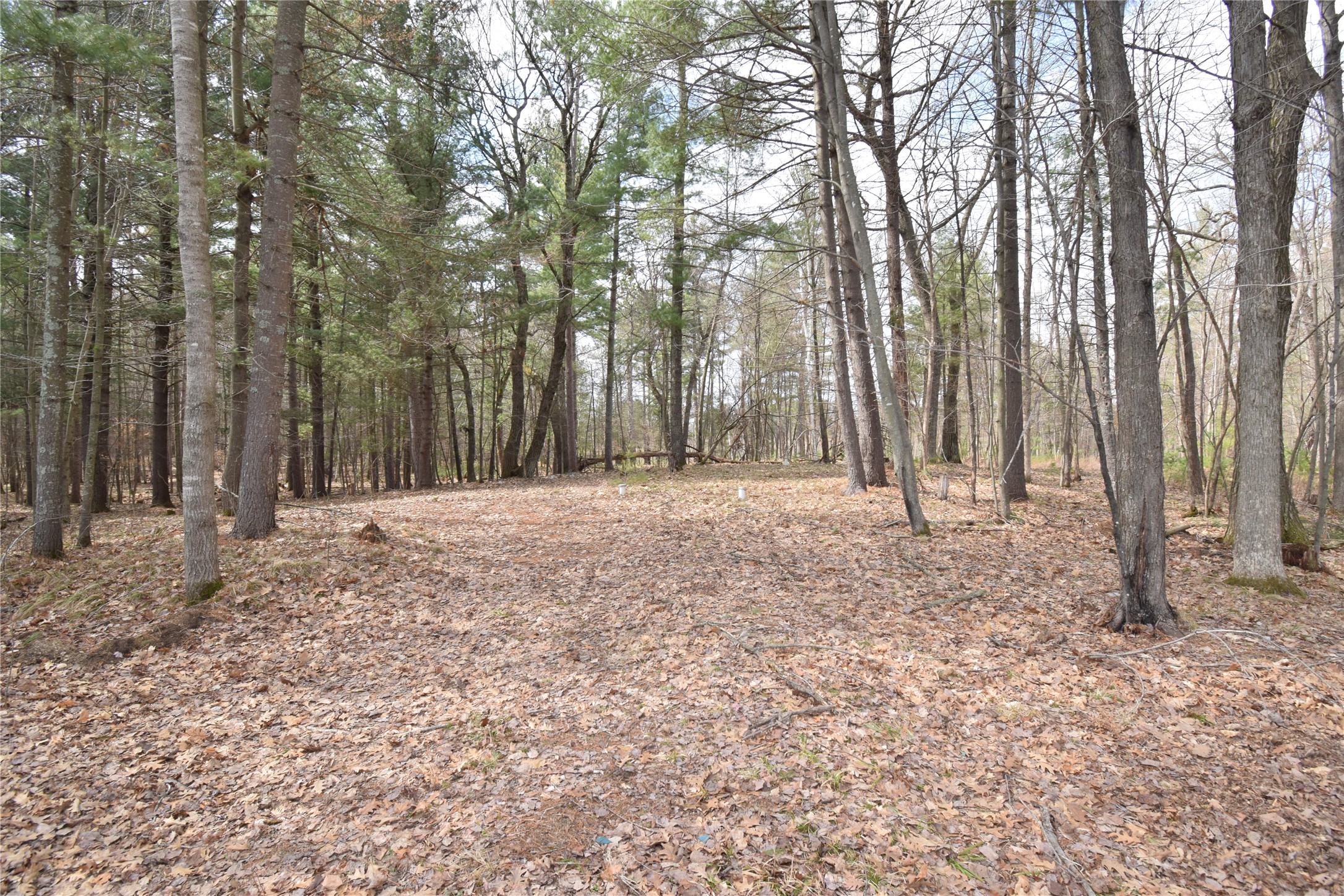 6502 Burnikel Road Siren, WI 54872 - Photo 48 of 60