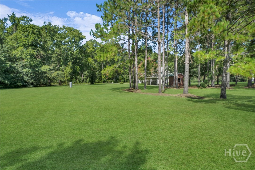 356 Stilson Road Brooklet, GA 30415 - Photo 49 of 51