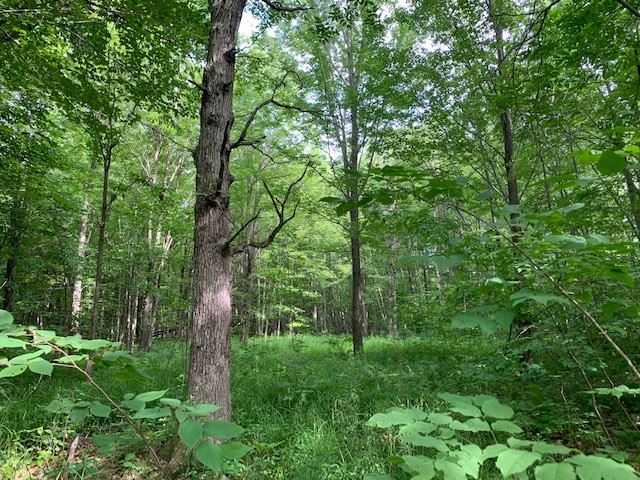5-acres County Rd C Mosinee, WI 54455 - Photo 1 of 1