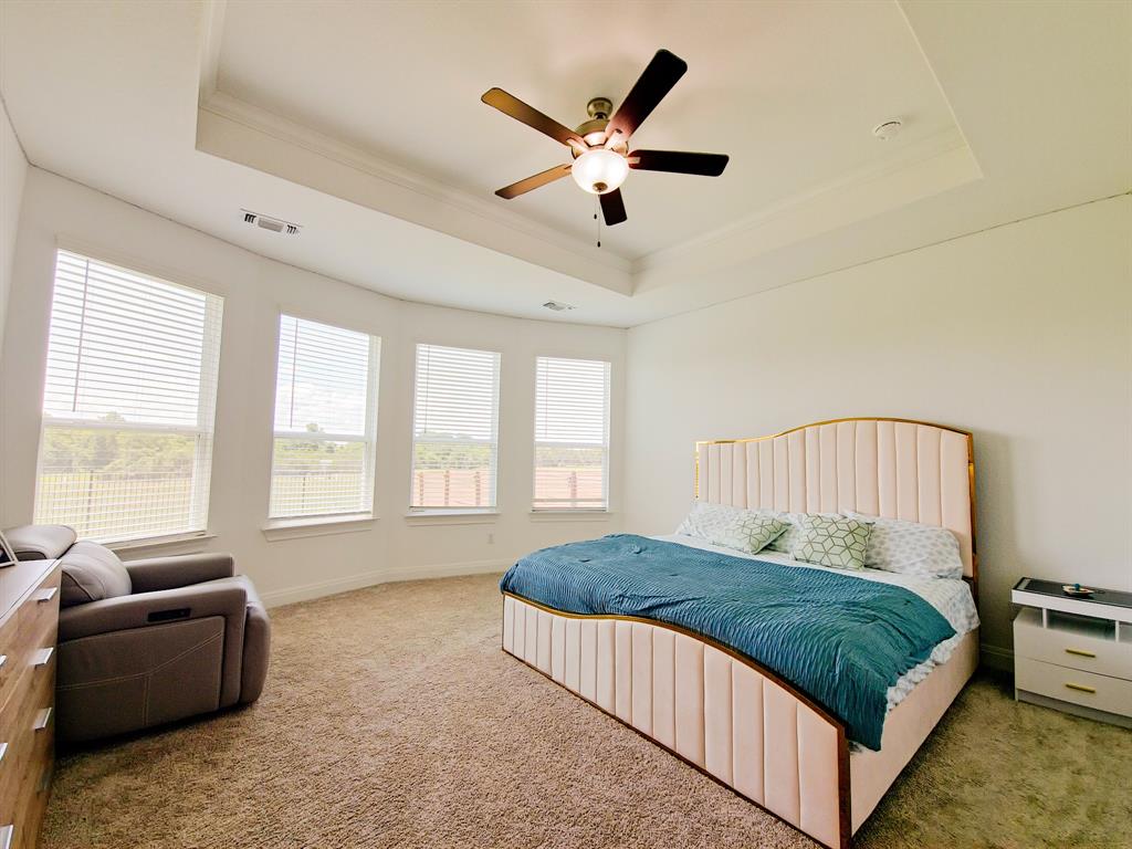 332 Turnbuckle Bend Leander, TX 78641 - Photo 19 of 34 Spacious room featuring a tray ceiling, ceiling fan with integrated lighting, multiple windows with blinds, and neutral carpet flooring