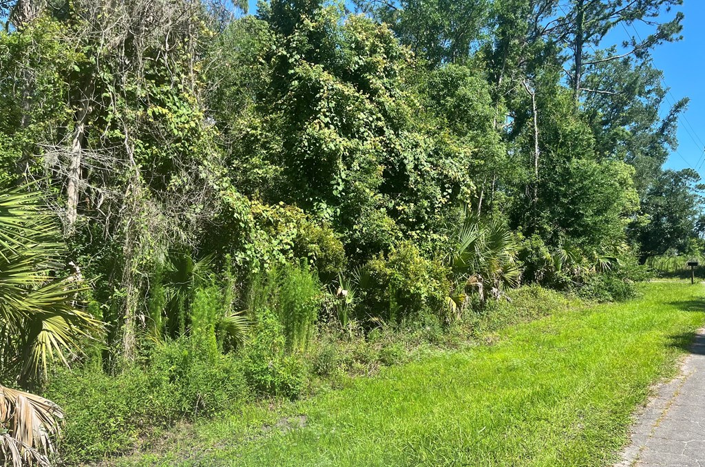 0 Faulkner Street Perry, FL 32347 - Photo 2 of 6