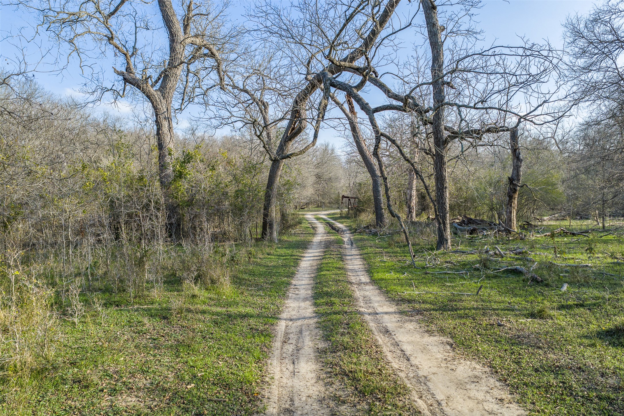 1144 Treetop Lane Luling, TX 78648 - Photo 31 of 31 View of dirt / gravel road with a view of trees