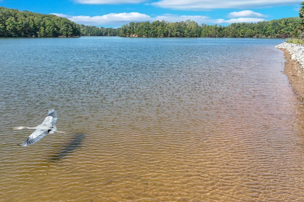 4548 Shirley Road Gainesville, GA 30506 - Photo 15 of 22 a view of outdoor space and deck