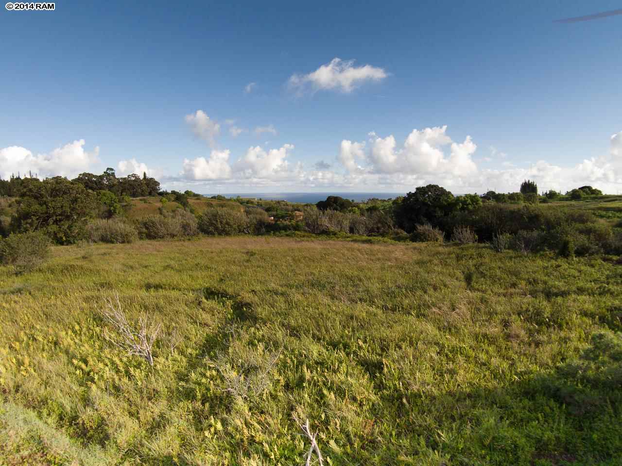 0 Leleaka Place, Unit LOT 3K Haiku, HI 96708 - Photo 3 of 12 a view of a pathway both side of grassy field with shrub