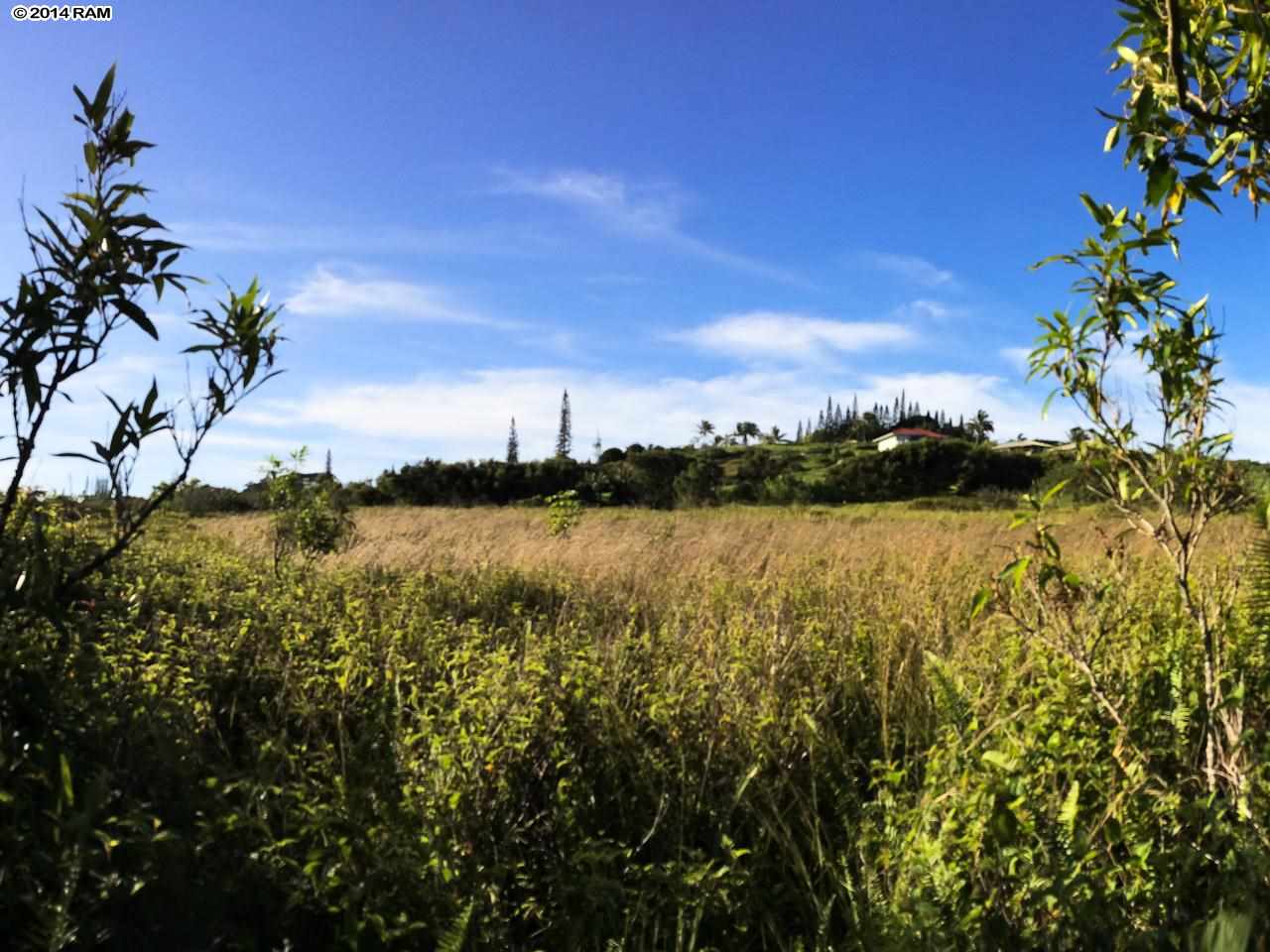 0 Leleaka Place, Unit LOT 3K Haiku, HI 96708 - Photo 6 of 12 a view of lake