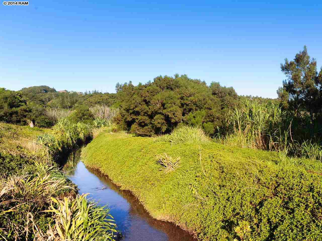 0 Leleaka Place, Unit LOT 3K Haiku, HI 96708 - Photo 8 of 12 a view of a yard with an ocean