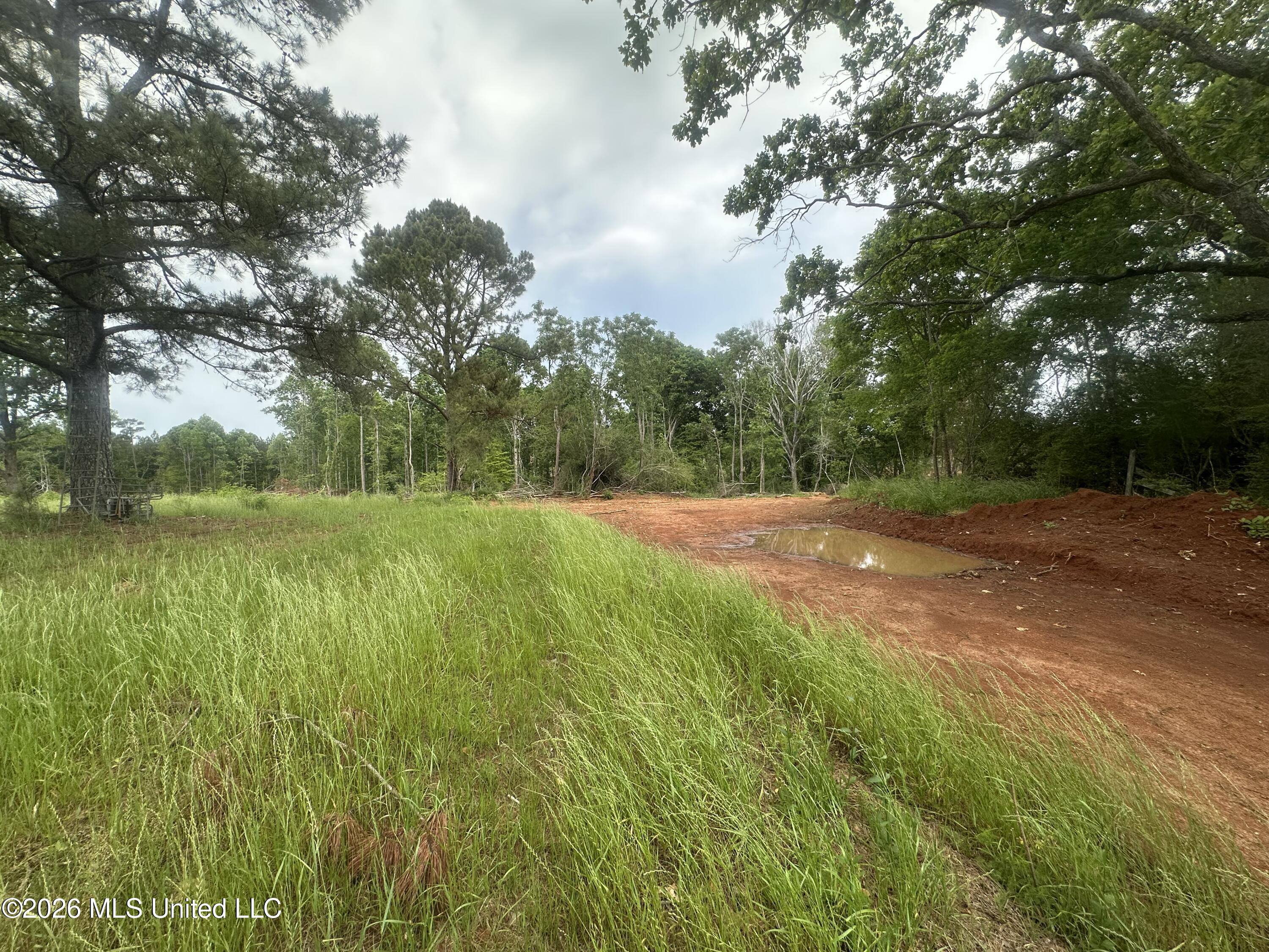559 Smith County Road Pulaski, MS 39152 - Photo 22 of 32 IMG_6109