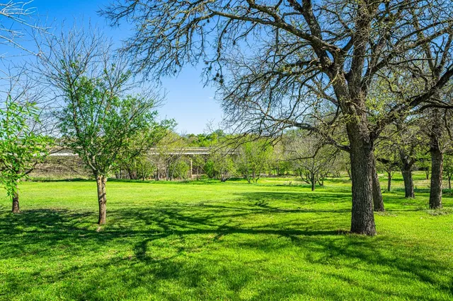 a view of a trees with a big yard