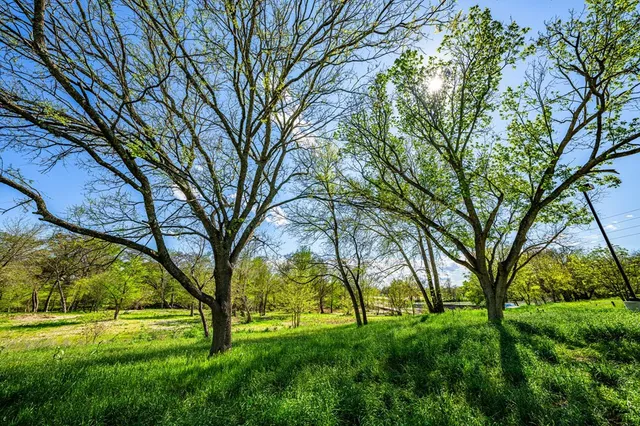 a view of an outdoor space with a tree