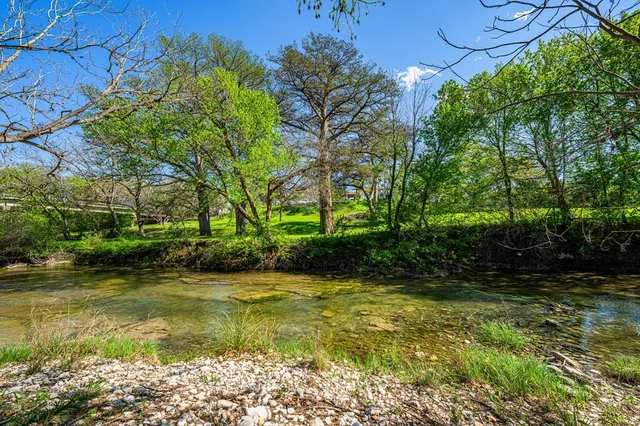 a view of a garden with a bench