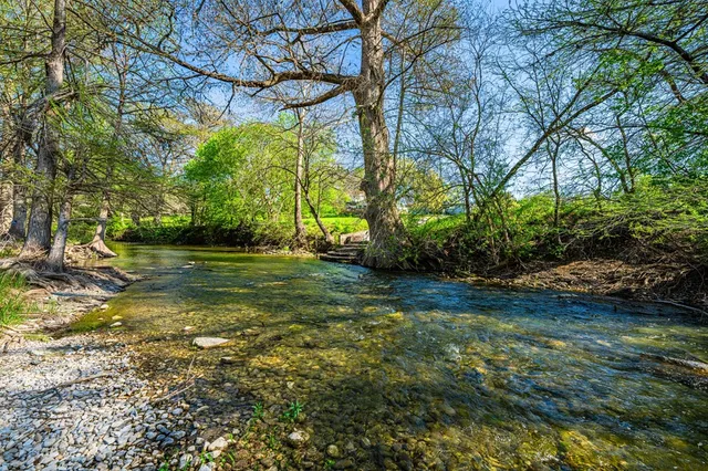 a view of a yard with a tree