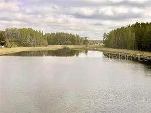 $2,750 | 2201 Cerulean Sky Drive, Lutz, FL 33558