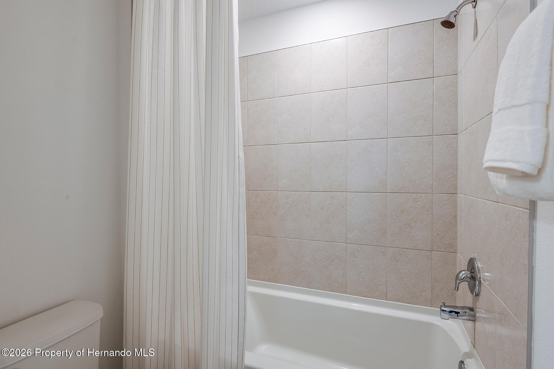 3705 Hornbeam Road Spring Hill, FL 34609 - Photo 17 of 18